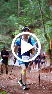 BIB:  <button type="button" onclick="openModal(27435451)" class="btn btn-primary btn-sm float-right" data-toggle="modal" data-target=".modal-high-quality">
                <i class="fa fa-download"></i> Download
                </button>